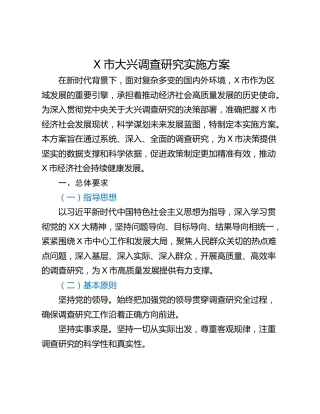 X市大兴调查研究实施方案