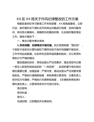 XX区XX局关于作风纪律整改的工作方案