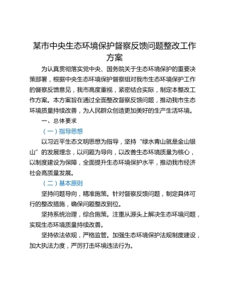 某市中央生态环境保护督察反馈问题整改工作方案