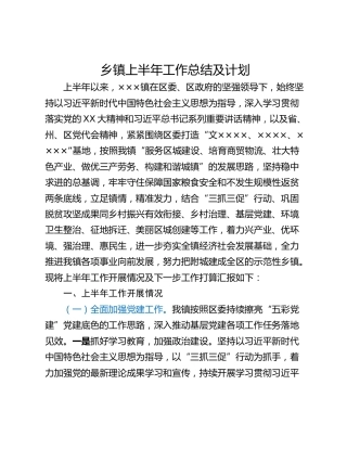 乡镇上半年工作总结及计划