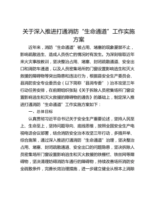 关于深入推进打通消防“生命通道”工作实施方案