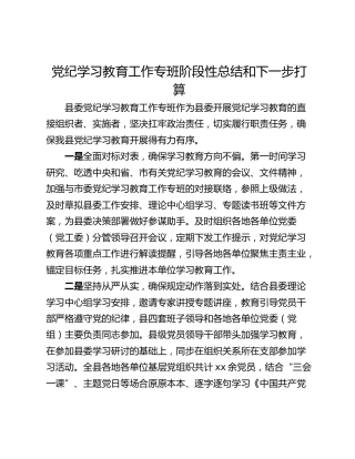党纪学习教育工作专班阶段性总结和下一步打算