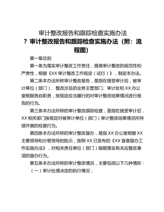 审计整改报告和跟踪检查实施办法