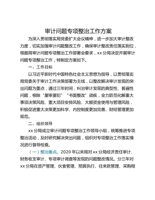 审计问题专项整治工作方案