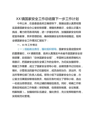 XX镇国家安全工作总结暨下一步工作计划