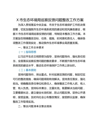 X市生态环境局巡察反馈问题整改工作方案