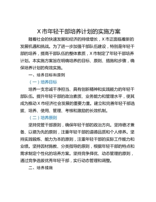 X市年轻干部培养计划的实施方案