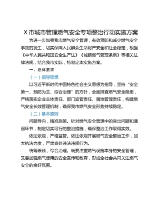 X市城市管理燃气安全专项整治行动实施方案