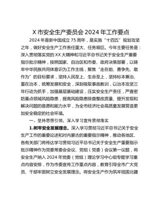 X市安全生产委员会2024年工作要点