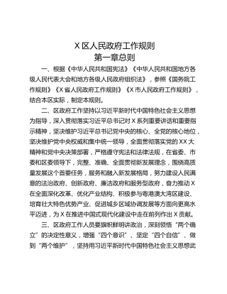 X区人民政府工作规则