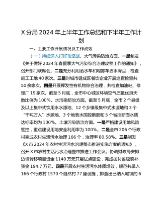 X分局2024年上半年工作总结和下半年工作计划