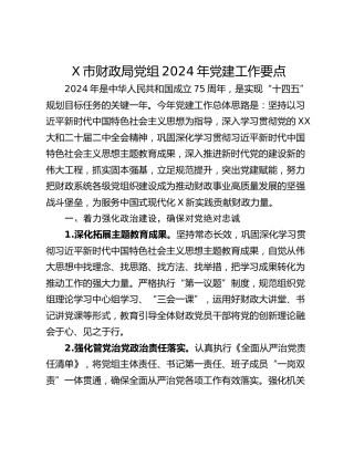 X市财政局党组2024年党建工作要点