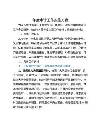 年度审计工作实施方案