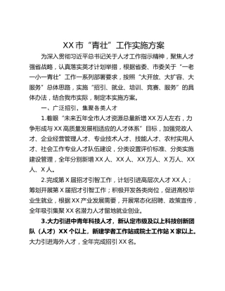 XX市“青壮”工作实施方案