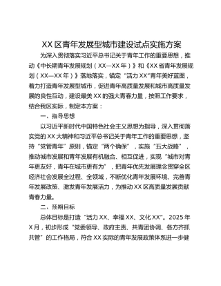 XX区青年发展型城市建设试点实施方案
