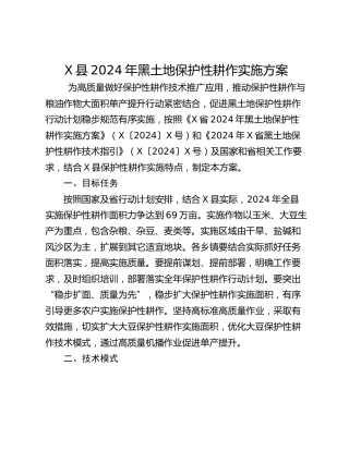X县2024年黑土地保护性耕作实施方案