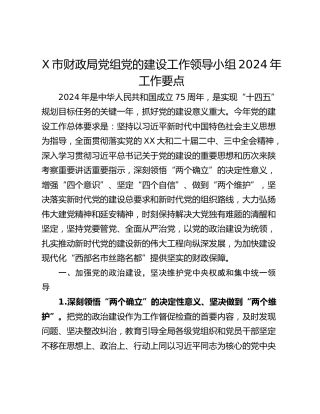 X市财政局党组党的建设工作领导小组2024年工作要点
