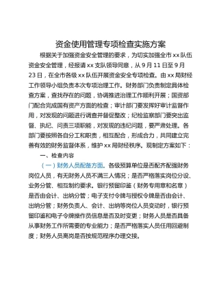资金使用管理专项检查实施方案