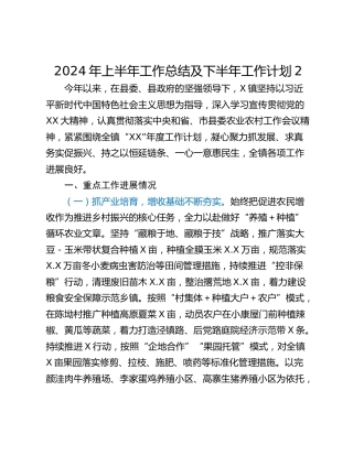 2024年上半年工作总结及下半年工作计划2