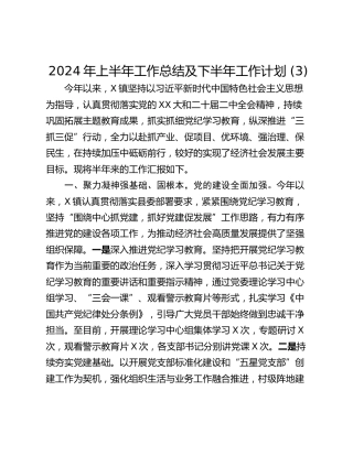 2024年上半年工作总结及下半年工作计划 (3)