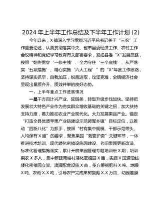 2024年上半年工作总结及下半年工作计划 (2)