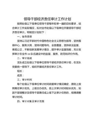 领导干部经济责任审计工作计划