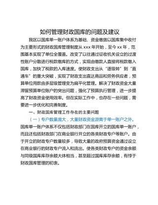 如何管理财政国库的问题及建议