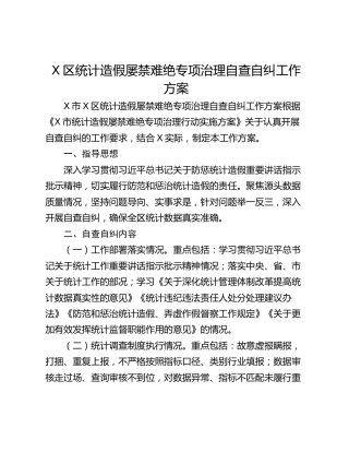 X区统计造假屡禁难绝专项治理自查自纠工作方案