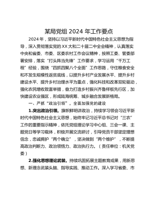 某局党组 2024 年工作要点