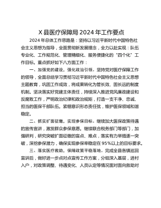 X县医疗保障局2024年工作要点