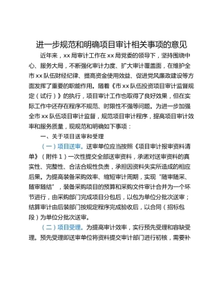 进一步规范和明确项目审计相关事项的意见