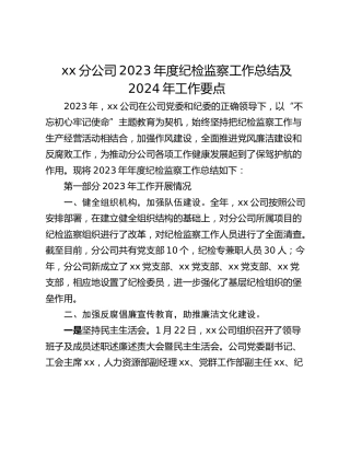xx分公司2023年度纪检监察工作总结及2024年工作要点