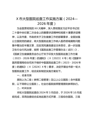 X市大型医院巡查工作实施方案（2024—2026年度）