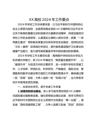 XX高校2024年工作要点