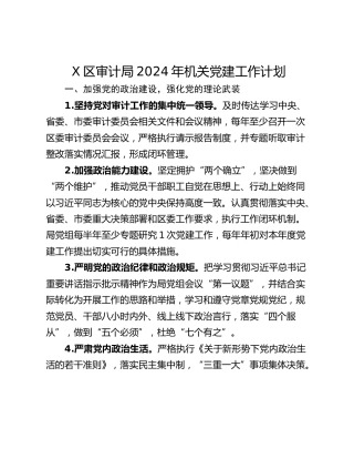 X区审计局2024年机关党建工作计划