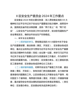 X区安全生产委员会2024年工作要点
