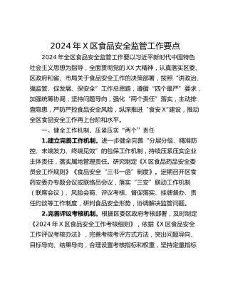 2024年X区食品安全监管工作要点