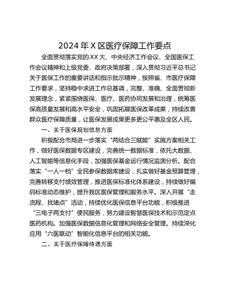 2024年X区医疗保障工作要点