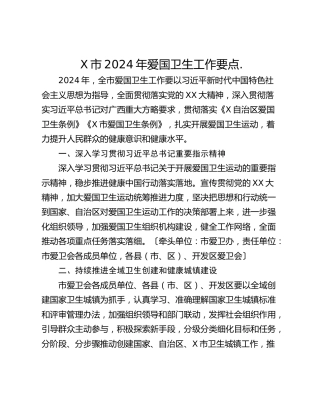 X市2024年爱国卫生工作要点.