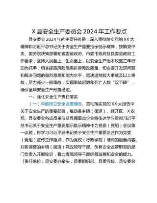 X县安全生产委员会2024年工作要点