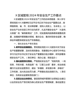 X区城管局2024年安全生产工作要点