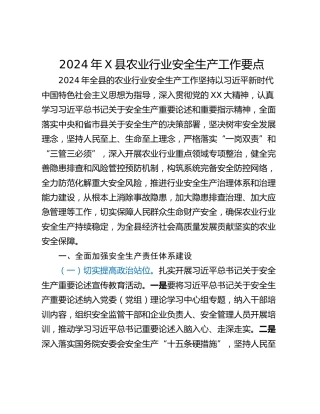 2024年X县农业行业安全生产工作要点