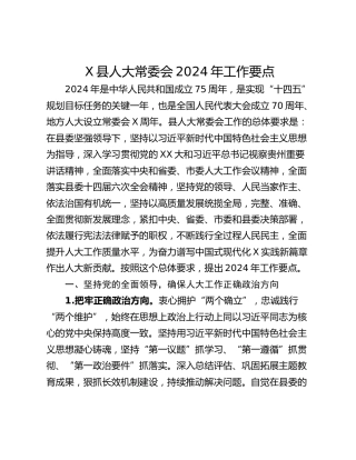 X县人大常委会2024年工作要点