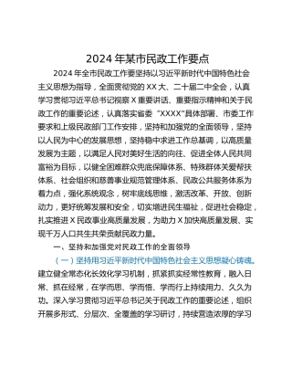 2024年某市民政工作要点
