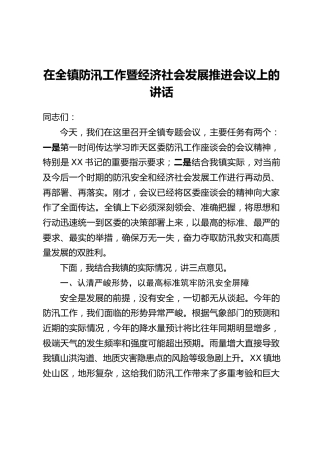 在全镇防汛工作暨经济社会发展推进会议上的讲话