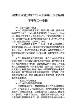 县生态环境分局2026年上半年工作总结和下半年工作安排