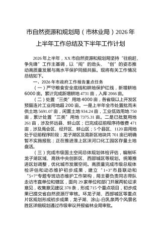 市自然资源和规划局（市林业局）2026年上半年工作总结及下半年工作计划