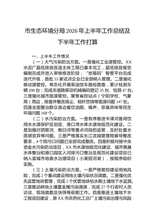 市生态环境分局2026年上半年工作总结及下半年工作打算