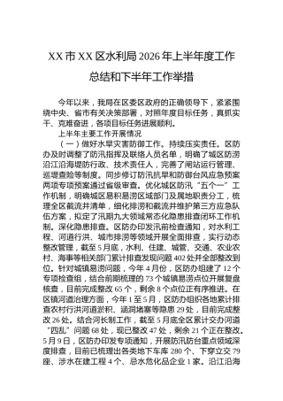 XX市XX区水利局2026年上半年度工作总结和下半年工作举措