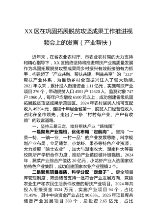 XX区在巩固拓展脱贫攻坚成果工作推进视频会上的发言（产业帮扶）
